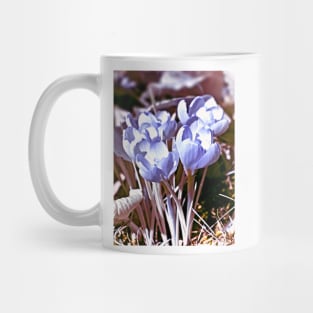 Crocus Infrared Mug